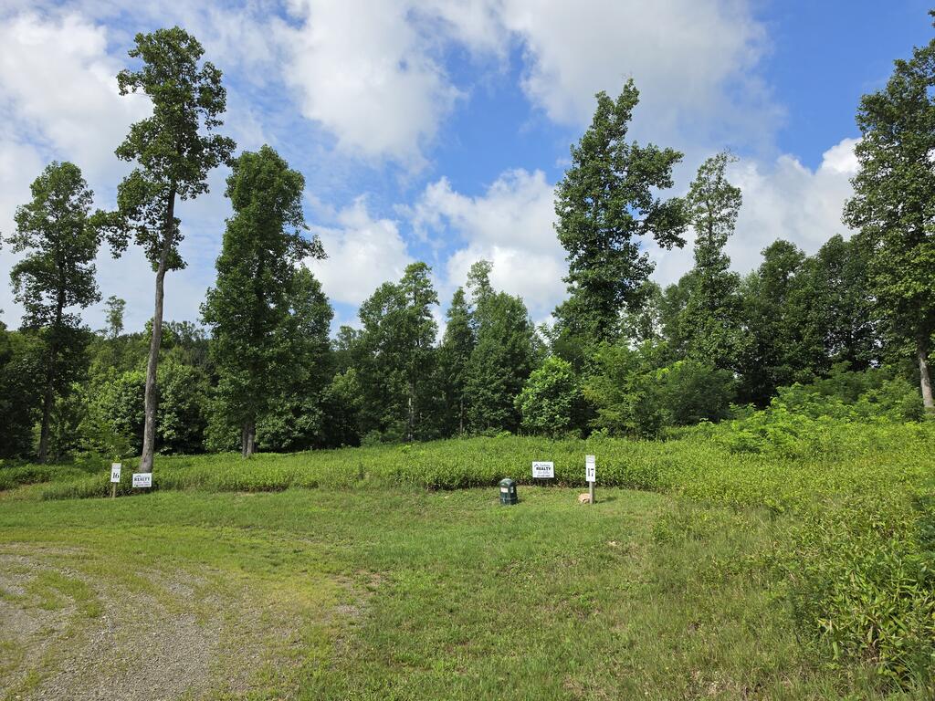 Photo of 0 W Pheasant Chase, Seven Springs Pkwy #16, 17, Fancy Gap, VA 24053 (MLS # 111462)