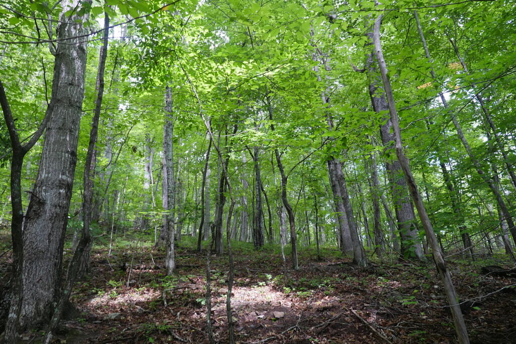 Photo of 0 Hunter Drive #8,9, Saltville, VA 24370 (MLS # 111747)