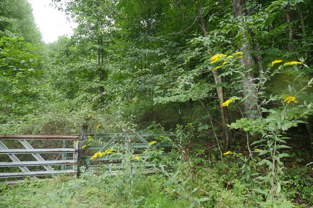 Photo of 0 Hunter Drive #8,9, Saltville, VA 24370 (MLS # 111747)