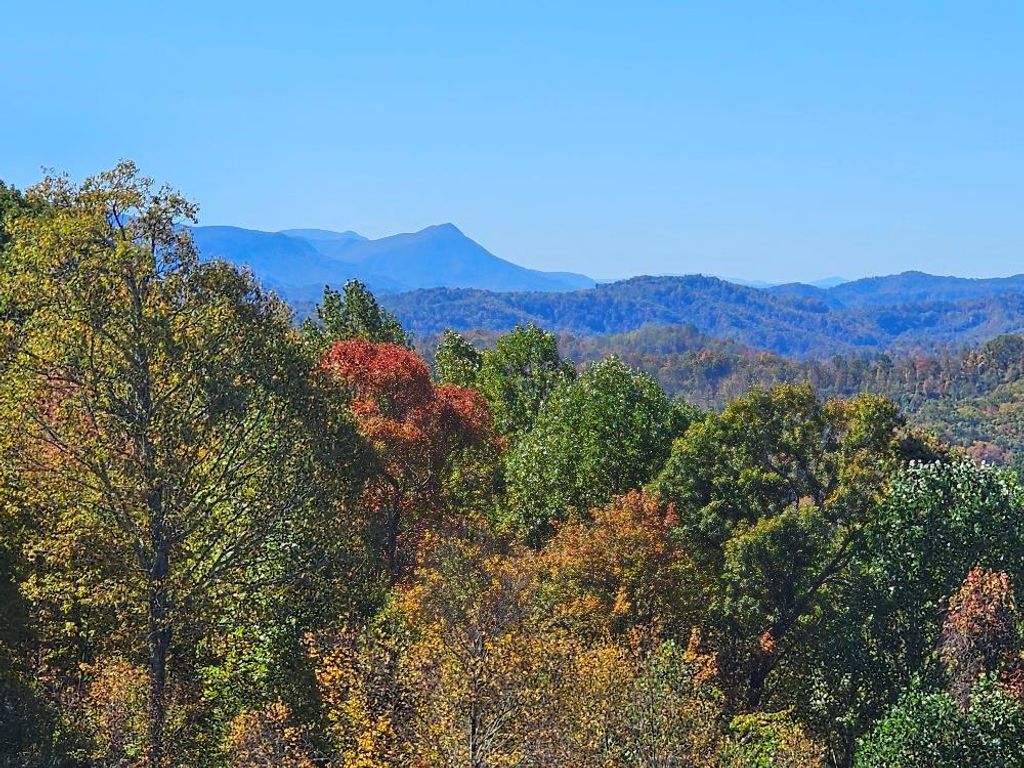 Photo of 12 Mayito Ln #12, Mouth of Wilson, VA 24363 (MLS # 103739)