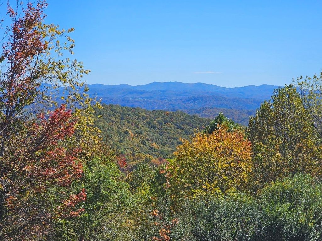Photo of 12 Mayito Ln #12, Mouth of Wilson, VA 24363 (MLS # 103739)