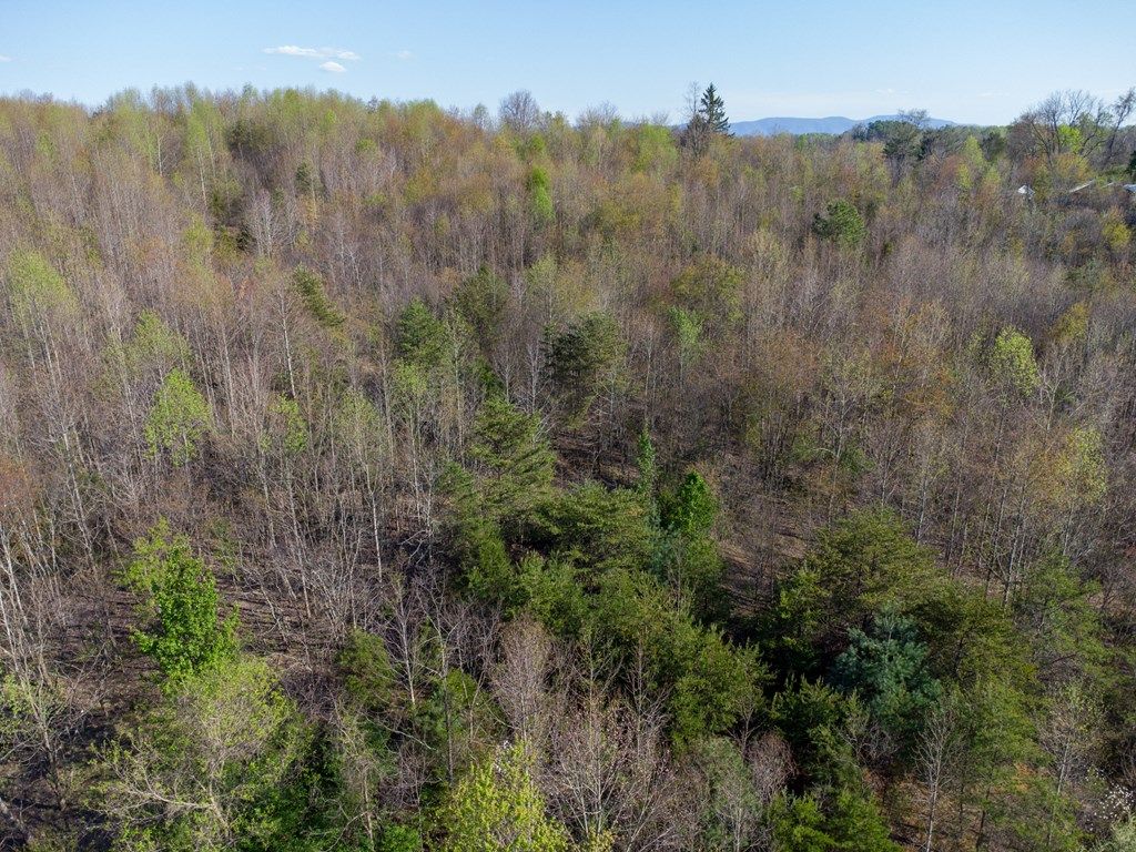 Photo of TBD King Mill Pike #00, Bristol, VA 24201 (MLS # 109809)