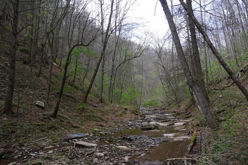 Photo of TBD Fowlers Branch Road #1, Hiltons, VA 24258 (MLS # 109480)