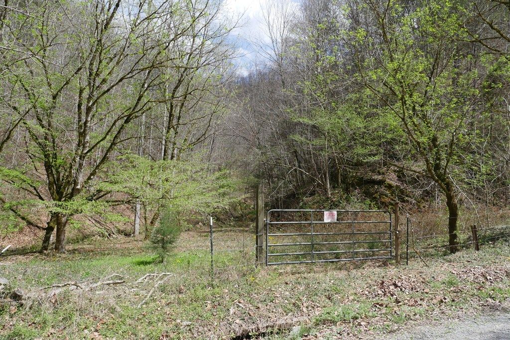 Photo of TBD Fowlers Branch Road #1, Hiltons, VA 24258 (MLS # 109480)