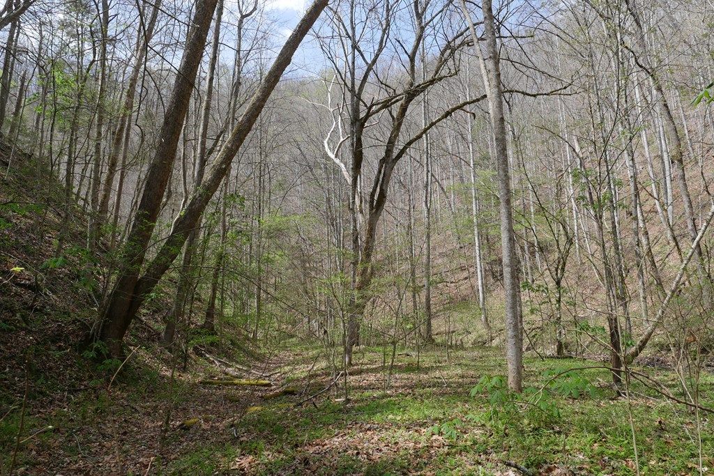 Photo of TBD Fowlers Branch Road #1, Hiltons, VA 24258 (MLS # 109480)