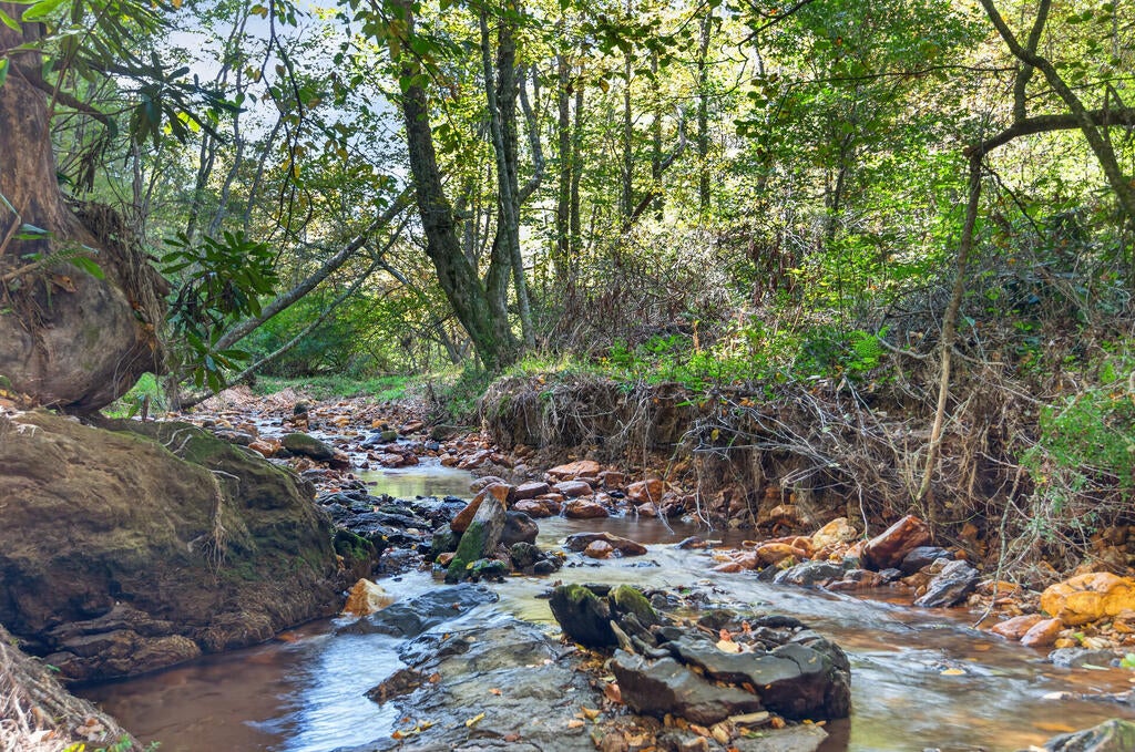 Photo of 168 Smith Landing Ln #20B, Hillsville, VA 24343 (MLS # 112183)
