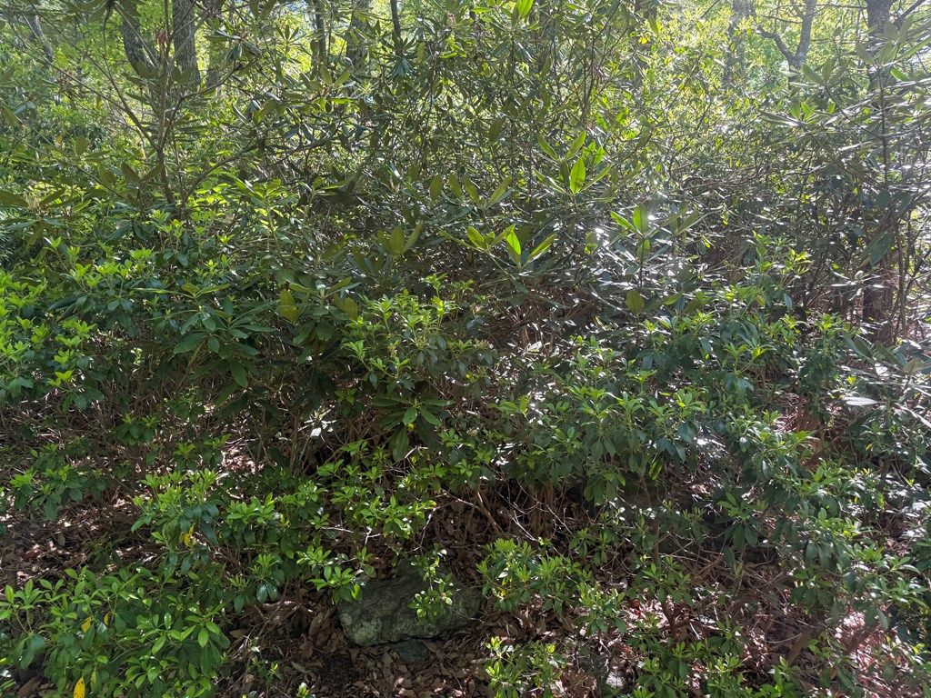 Photo of TBD Old Wagon Trail #12, Fancy Gap, VA 24328 (MLS # 110017)
