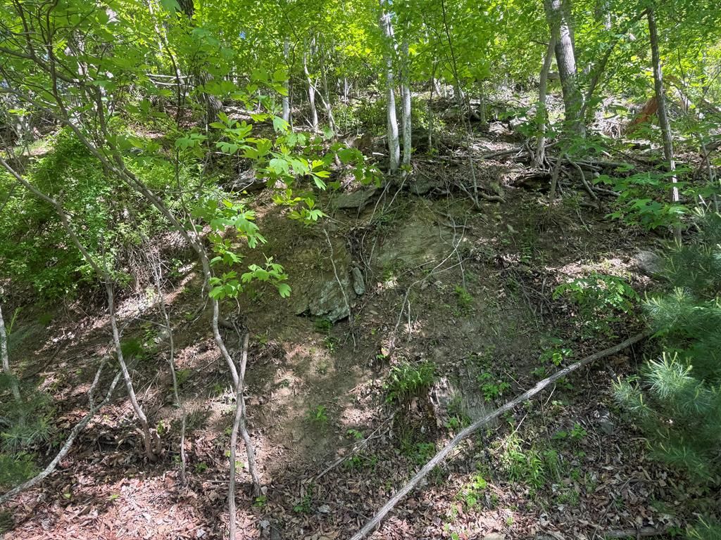 Photo of TBD Old Wagon Trail #12, Fancy Gap, VA 24328 (MLS # 110017)