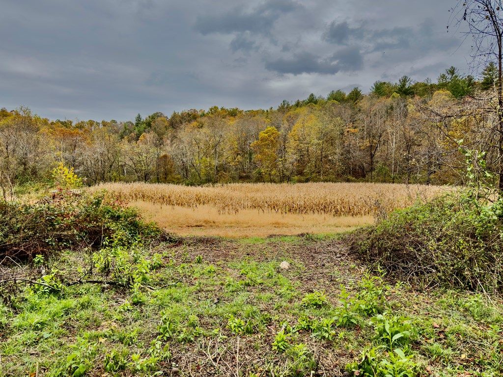 Photo of TBD Hoot Hollow Rd #155-A-2, Cana, VA 24317 (MLS # 109130)