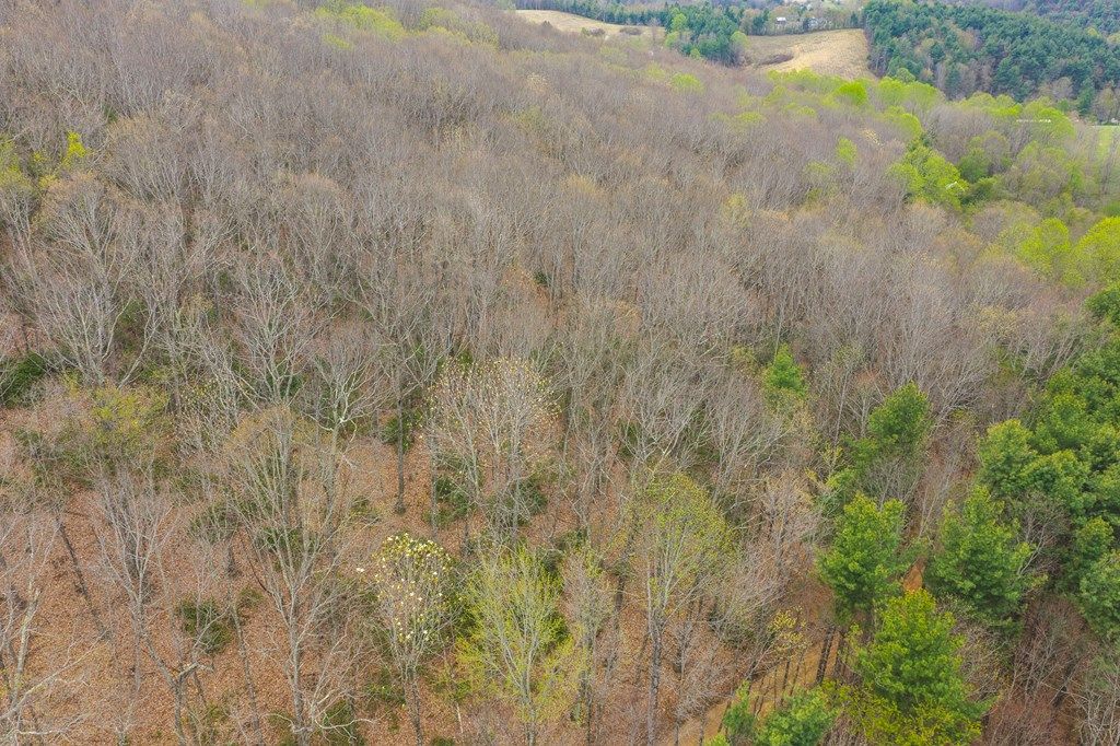 Photo of TBD Cox Store Rd, Floyd, VA 24091 (MLS # 109742)