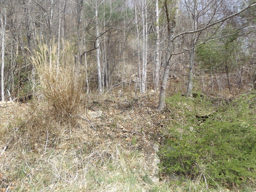 Photo of TBD South Main St #1, Galax, VA 24333 (MLS # 109449)