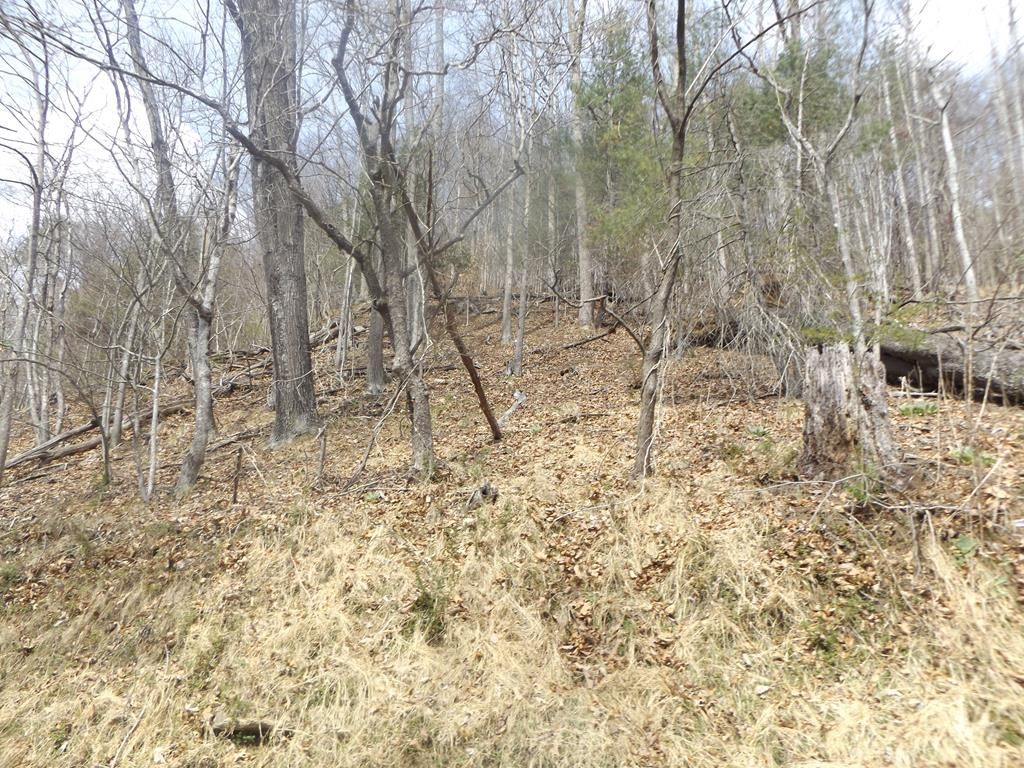 Photo of TBD South Main St #1, Galax, VA 24333 (MLS # 109449)
