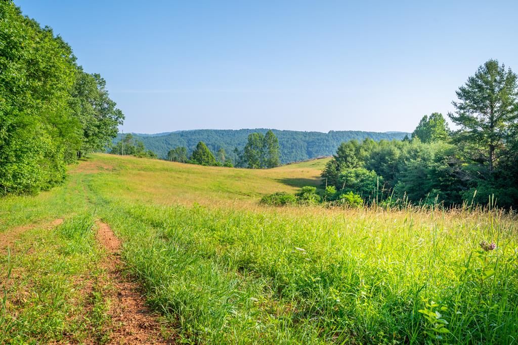 Photo of 000 Fairhaven Drive #0, Dugspur, VA 24325 (MLS # 103186)