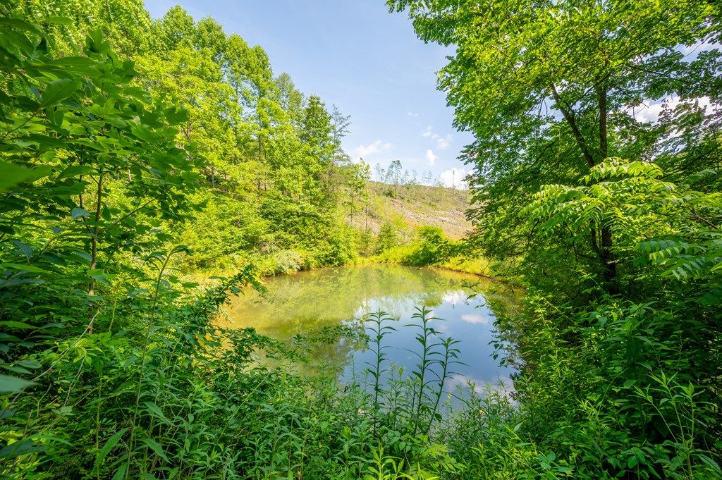 Photo of 000 Fairhaven Drive #0, Dugspur, VA 24325 (MLS # 103186)