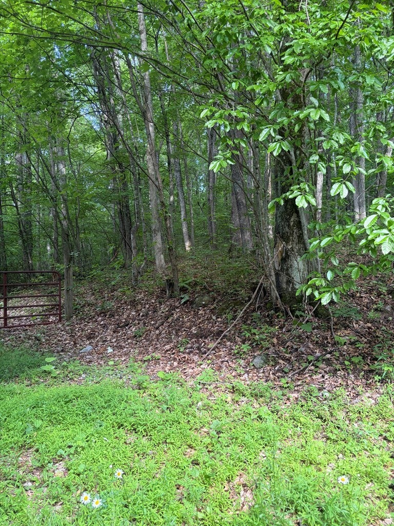 Photo of TBD Dark Hollow Road #157 157F, North Tazewell, VA 24630 (MLS # 110521)