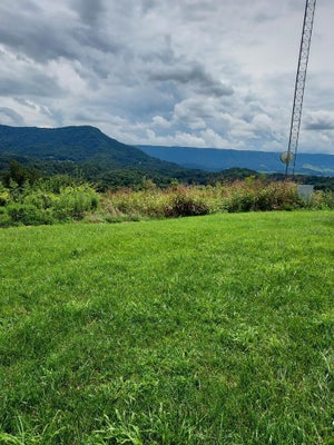 ADDRESS PRIVATE, CEDAR BLUFF, VA 24609 - Image ba6cc5ebb3efa30e0fb1f97fae9a2321/843705797