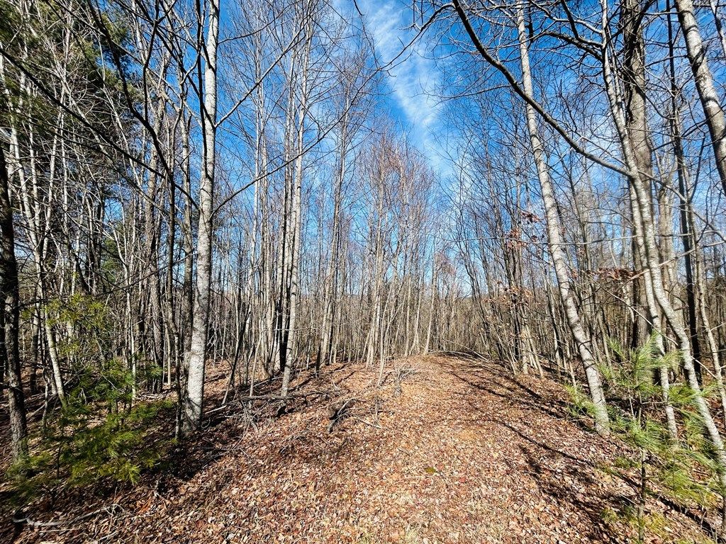 Photo of TBD Valley Hill Dr/Meadow Creek Rd #1, 2, Galax, VA 24333 (MLS # 105872)