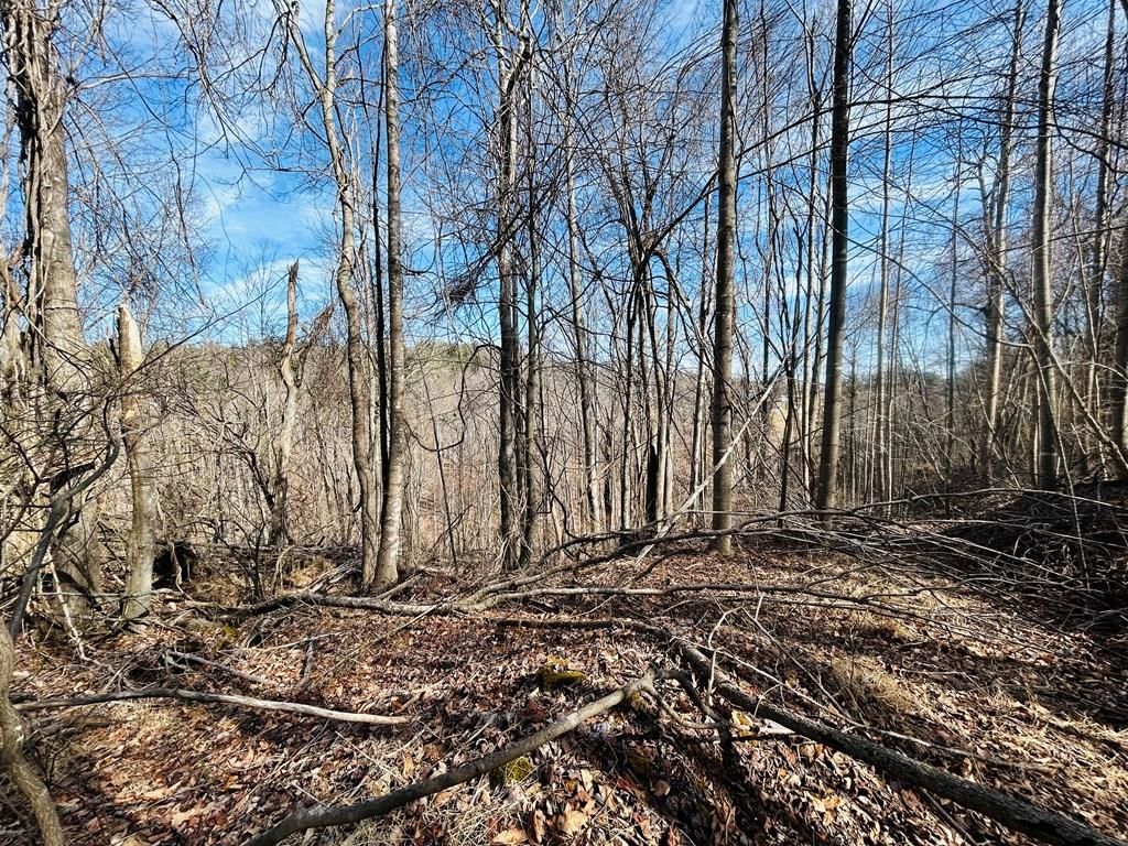 Photo of TBD Valley Hill Dr/Meadow Creek Rd #1, 2, Galax, VA 24333 (MLS # 105872)