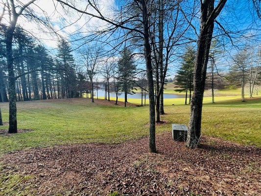 20 MANOR HOUSE DR, LAUREL FORK, VA 24352 - Image ba8a73770b5a1a048f64da96941a37cb/19699529
