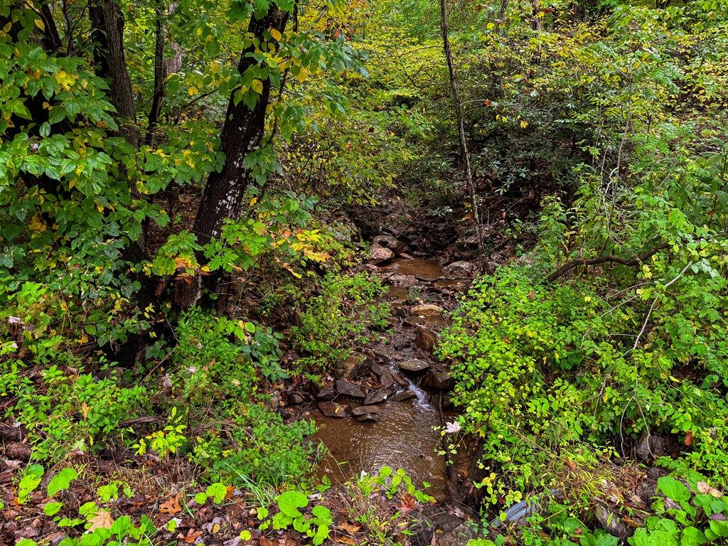 Photo of TBD Hidden Valley Ln #1,2,3, Independence, VA 24348 (MLS # 103634)