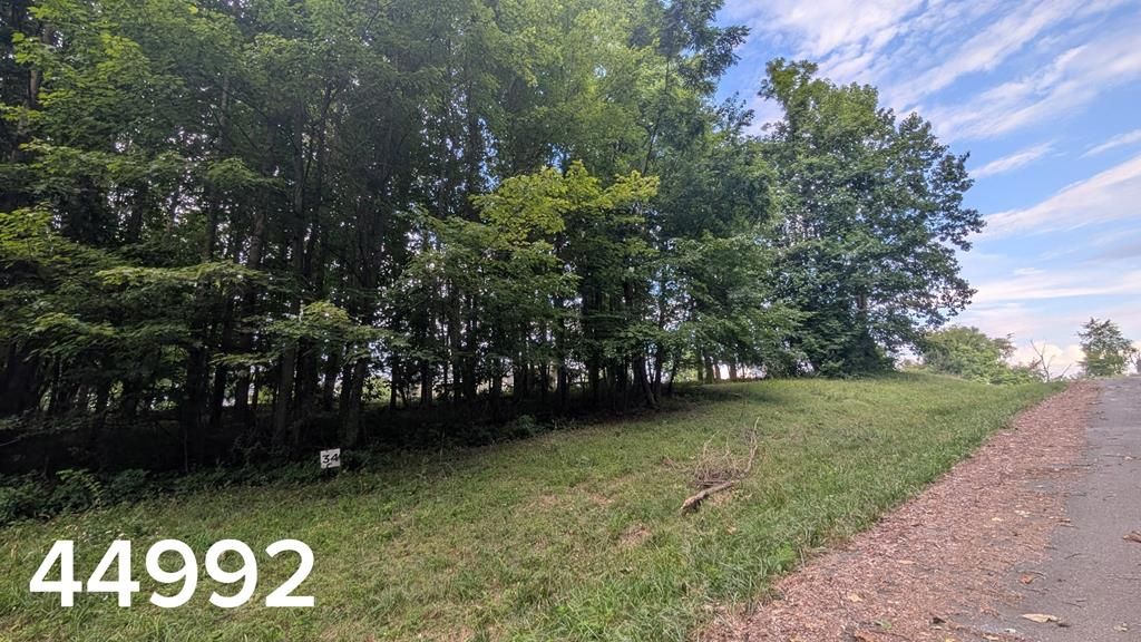 Photo of TBD Village Loop #34, Abingdon, VA 24210 (MLS # 110909)