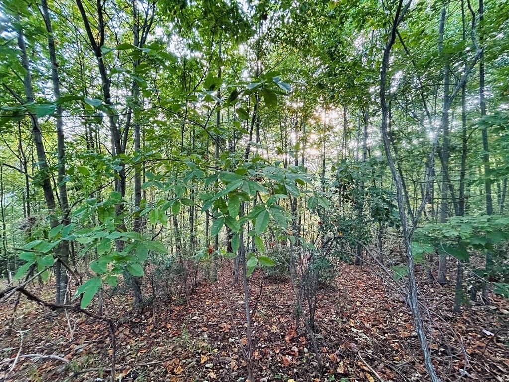 Photo of TBD Morning Side Trail #6, Fancy Gap, VA 24328 (MLS # 103510)