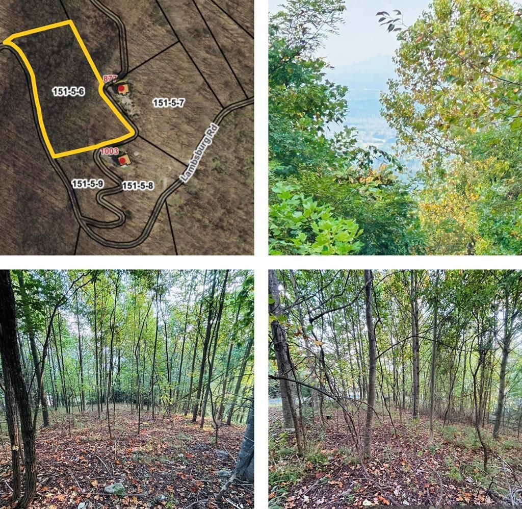 Photo of TBD Morning Side Trail #6, Fancy Gap, VA 24328 (MLS # 103510)