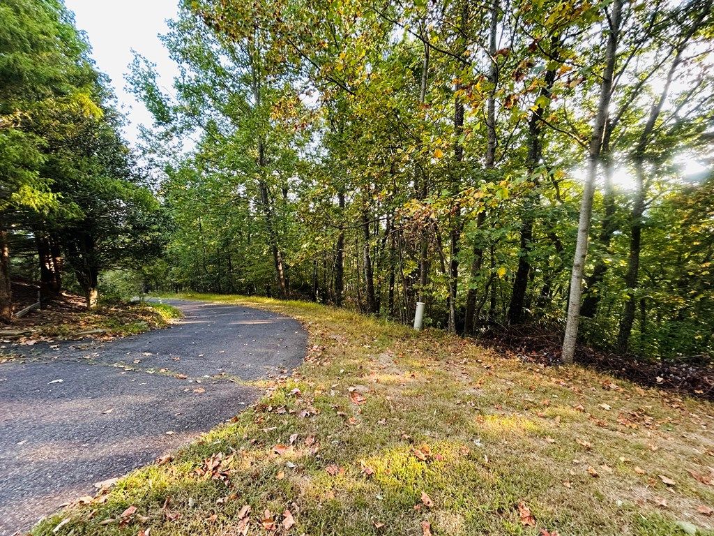 Photo of TBD Morning Side Trail #6, Fancy Gap, VA 24328 (MLS # 103510)