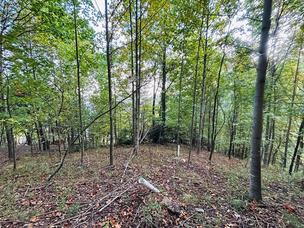 Photo of TBD Morning Side Trail #6, Fancy Gap, VA 24328 (MLS # 103510)