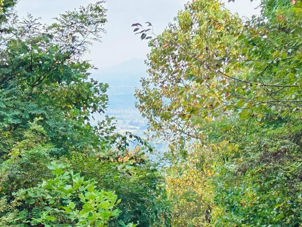 Photo of TBD Morning Side Trail #6, Fancy Gap, VA 24328 (MLS # 103510)