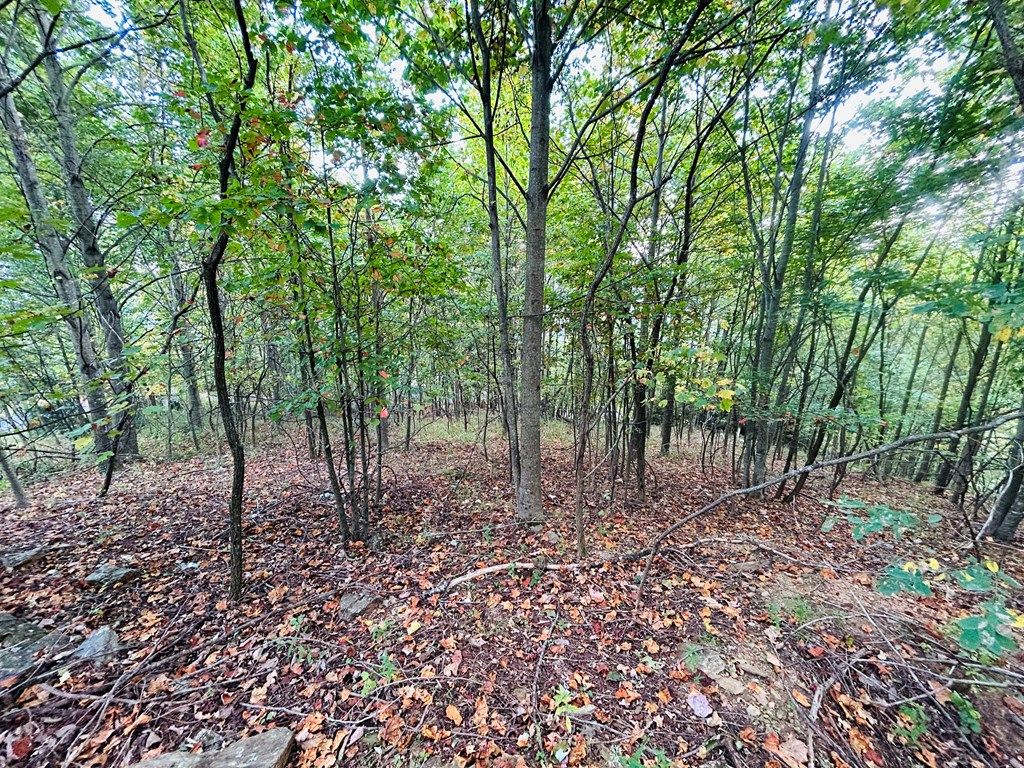 Photo of TBD Morning Side Trail #6, Fancy Gap, VA 24328 (MLS # 103510)