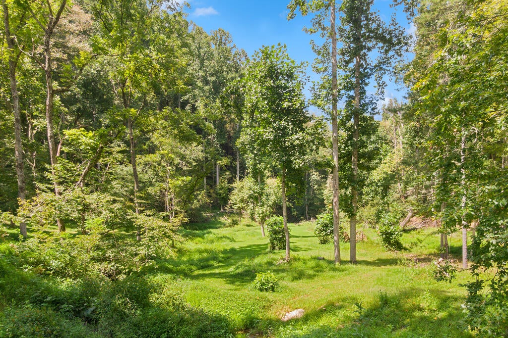 Photo of 4681 Fishers View Rd, Pilot, VA 24138 (MLS # 111666)