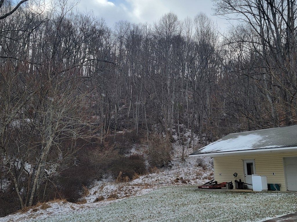 Photo of 391 Pine Tree Ln, Independence, VA 24348 (MLS # 104703)