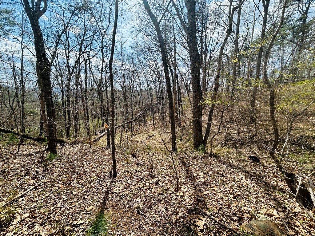 Photo of TBD Julia Simpkins Rd #118, Hiwassee, VA 24347 (MLS # 109508)