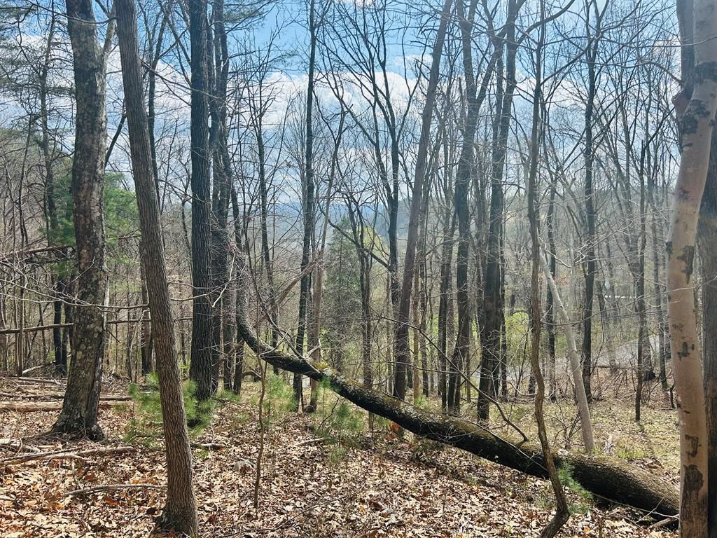 Photo of TBD Julia Simpkins Rd #118, Hiwassee, VA 24347 (MLS # 109508)