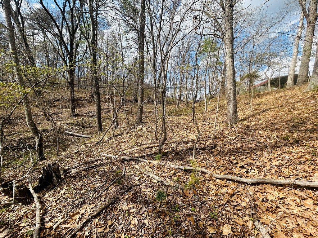 Photo of TBD Julia Simpkins Rd #118, Hiwassee, VA 24347 (MLS # 109508)