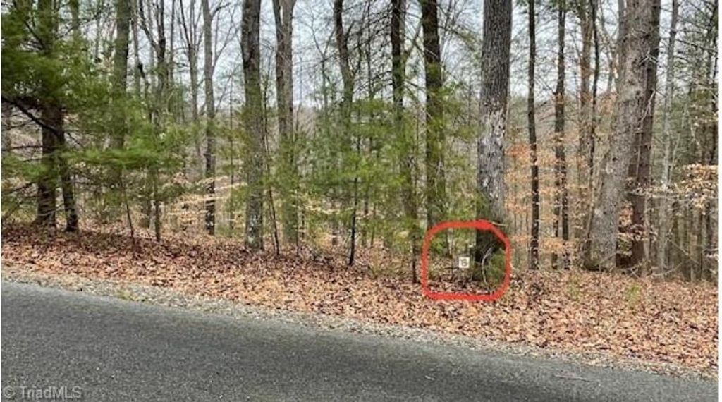 Photo of 6 Woods Haven Lane #6, Stuart, VA 24171 (MLS # 87226)