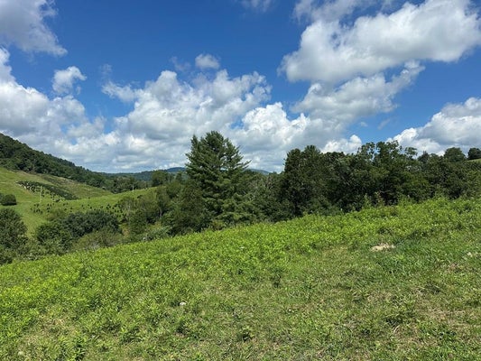 ADDRESS PRIVATE, MOUTH OF WILSON, VA 24363 - Image bf341de2fc537aa7cc2473941eec737e/1740722043
