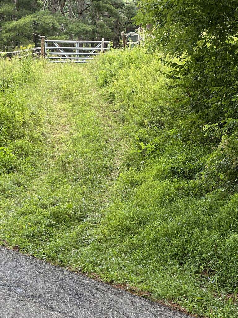 Photo of TBD Fox Creek Rd #0, Mouth of Wilson, VA 24363 (MLS # 111406)