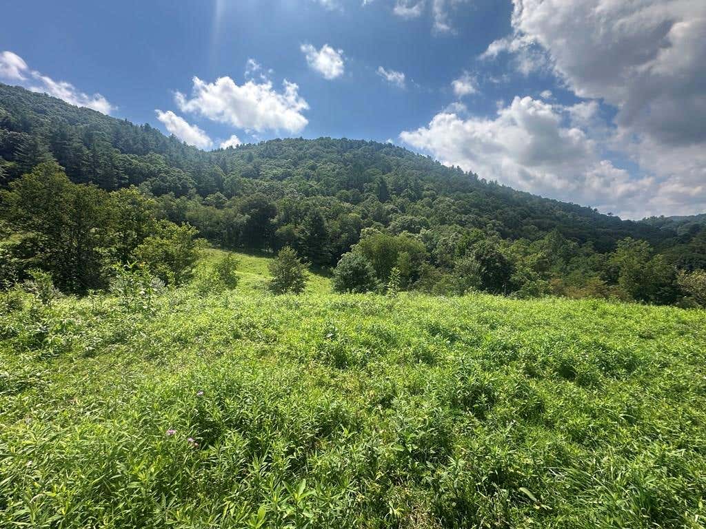 Photo of TBD Fox Creek Rd #0, Mouth of Wilson, VA 24363 (MLS # 111406)