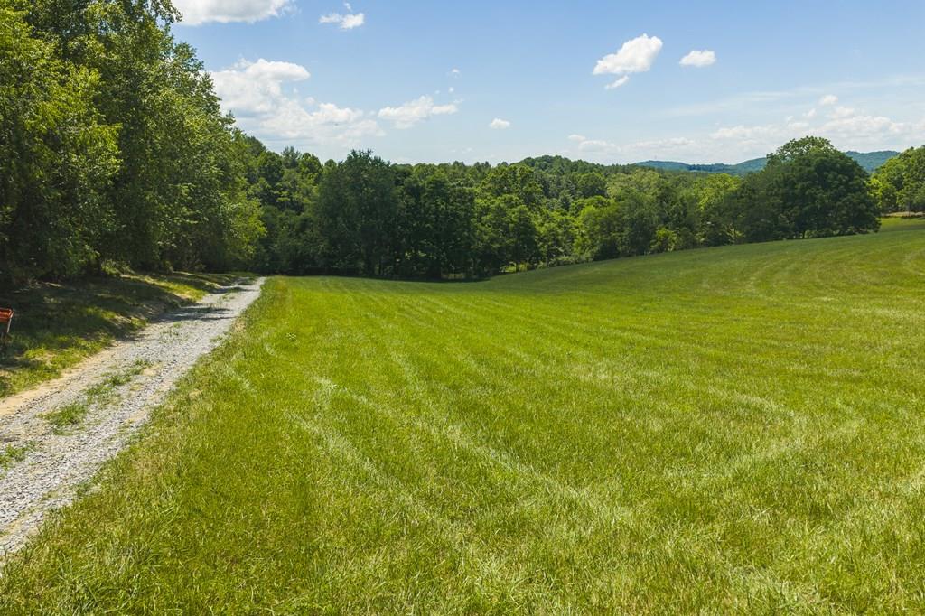 Photo of 1 Brush Creek Rd, Riner, VA 24149 (MLS # 110821)
