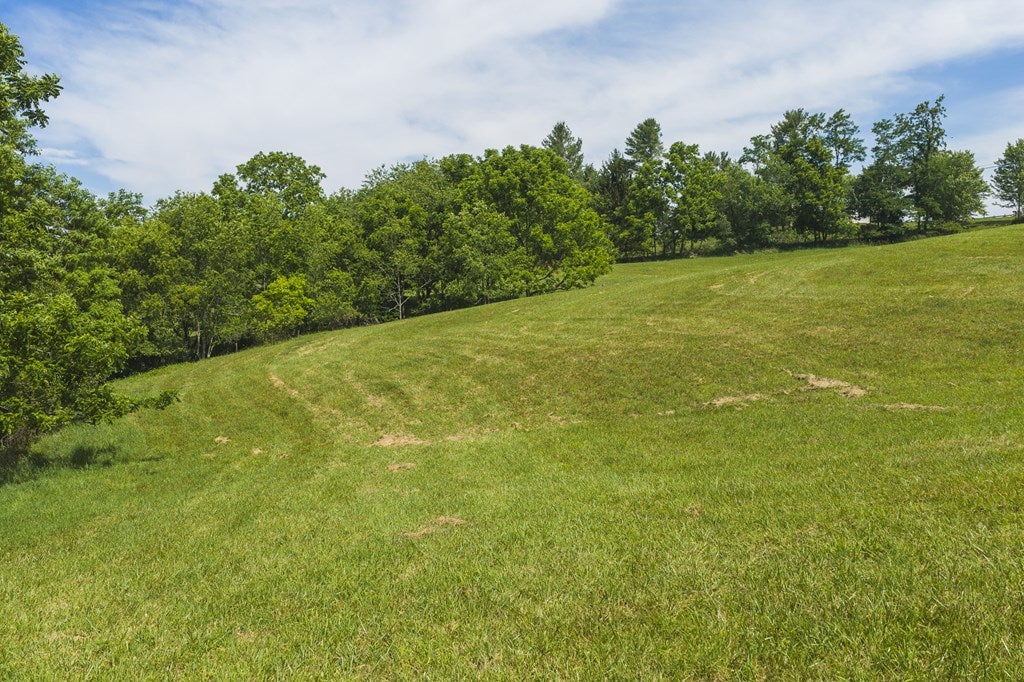 Photo of 1 Brush Creek Rd, Riner, VA 24149 (MLS # 110821)