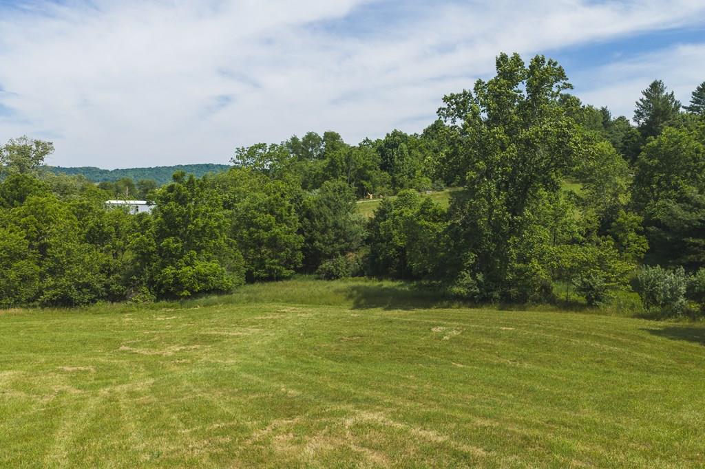 Photo of 1 Brush Creek Rd, Riner, VA 24149 (MLS # 110821)