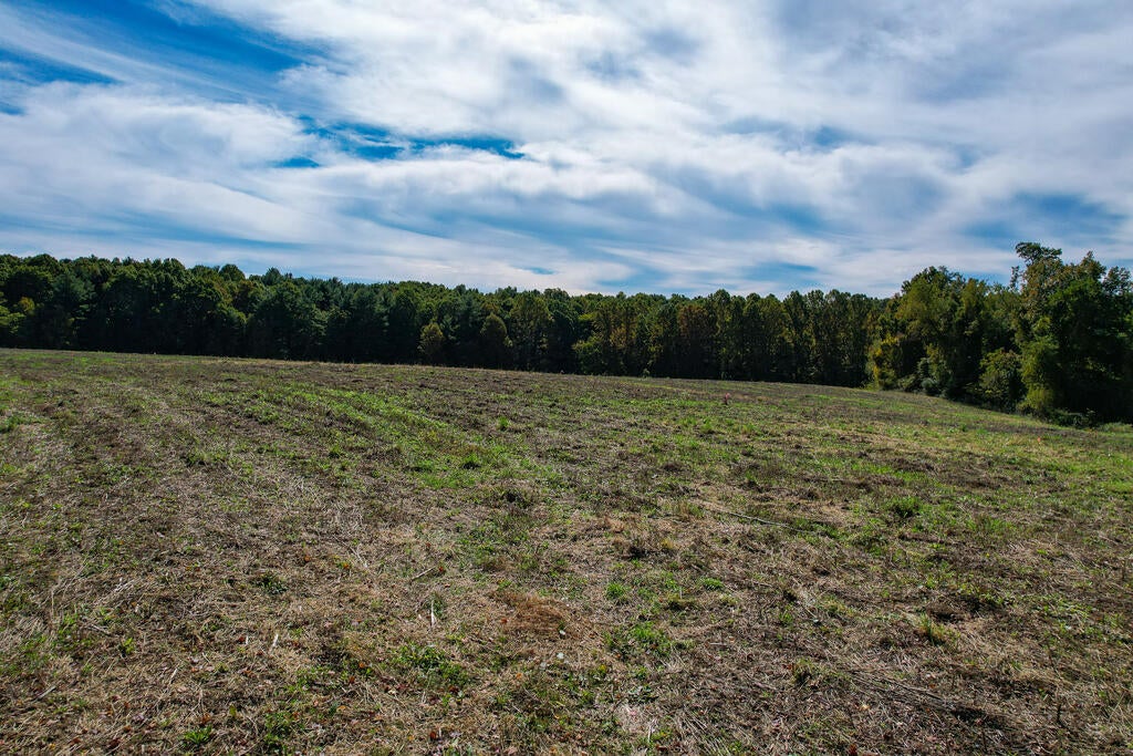 Photo of TBD Hanging Tree Rd #1,2,3,4,, Hillsville, VA 24343 (MLS # 112217)