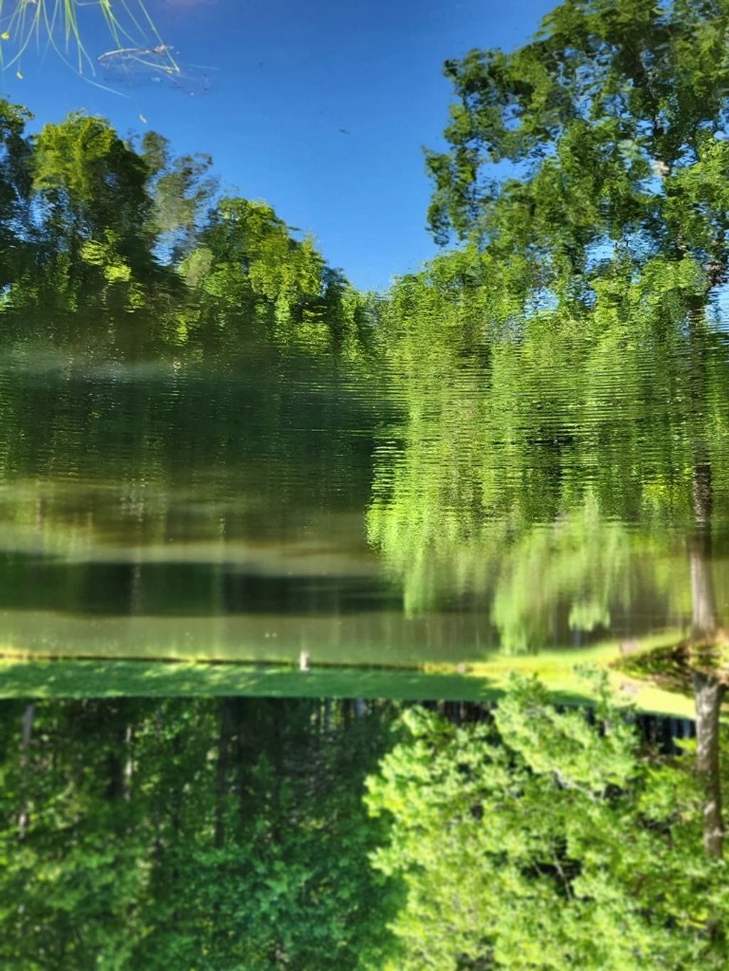 Photo of 4125 Peakes Mountain Rd, Galax, VA 24333 (MLS # 103947)