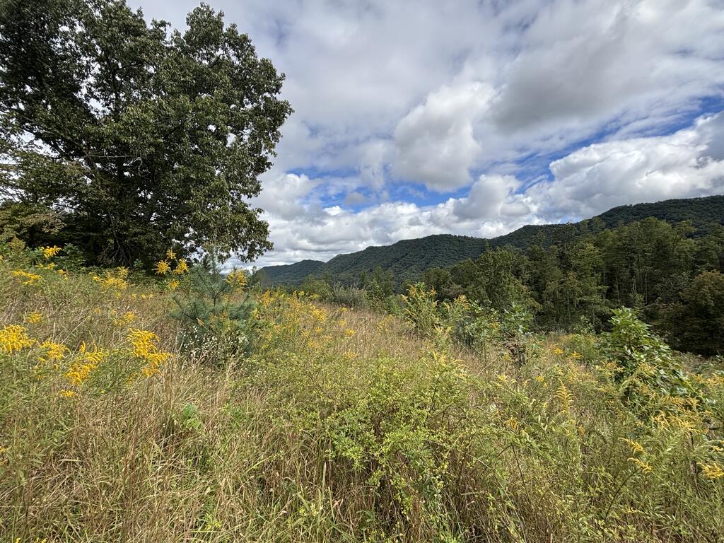 Photo of 0 Brumley Gap Road #0, Abingdon, VA 24210 (MLS # 112123)