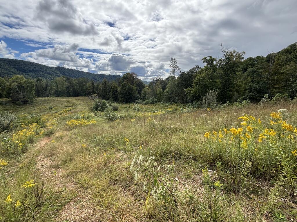 Photo of 0 Brumley Gap Road #0, Abingdon, VA 24210 (MLS # 112123)