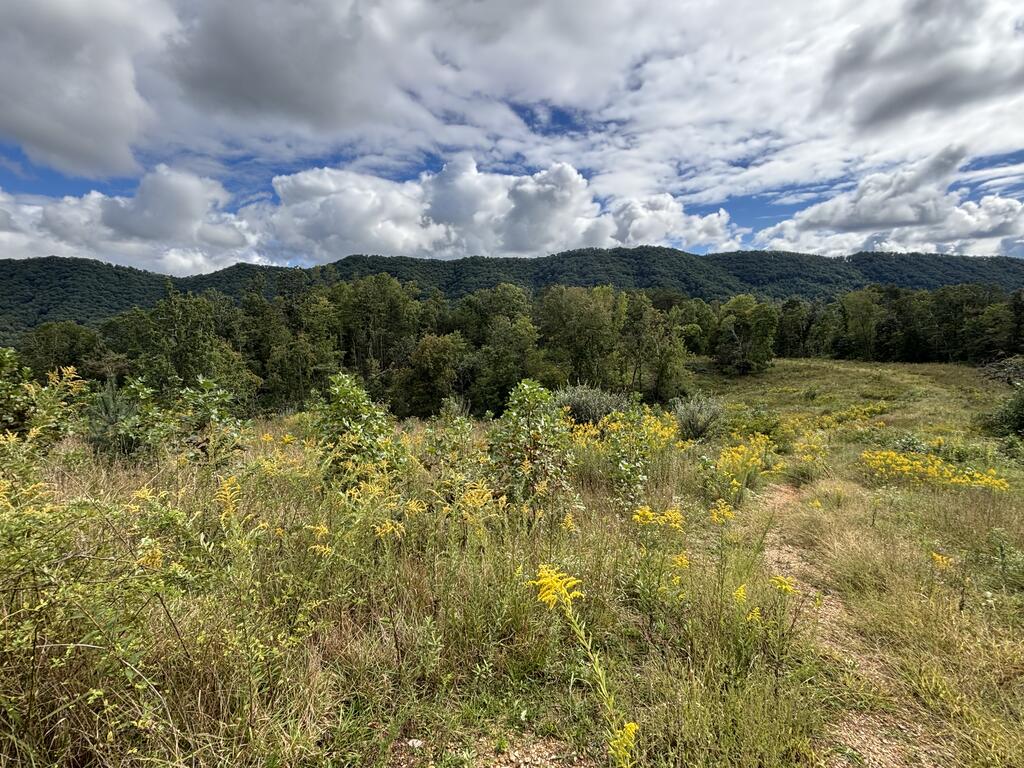 Photo of 0 Brumley Gap Road #0, Abingdon, VA 24210 (MLS # 112123)