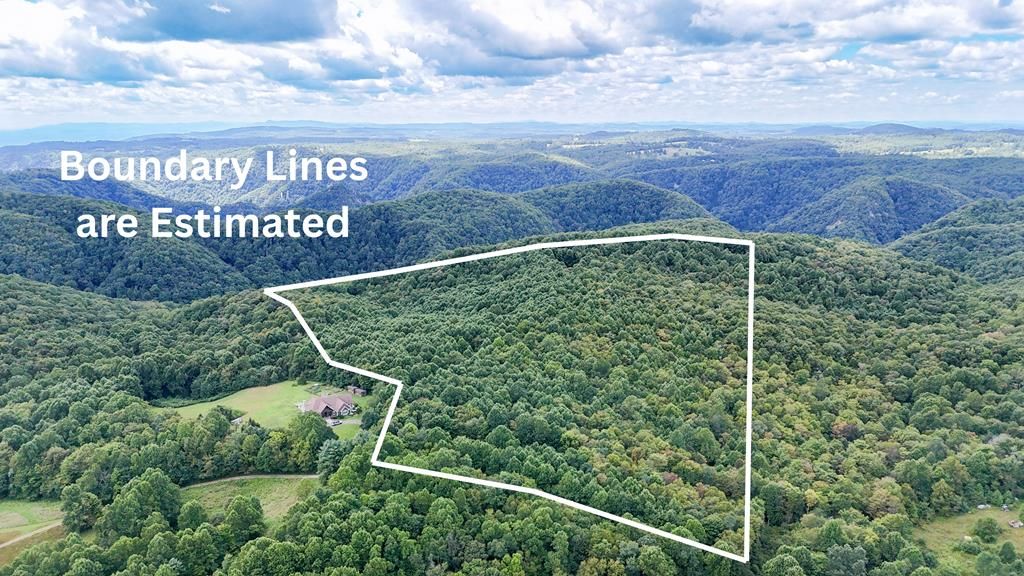 Photo of 0 Bent School Rd #n/a, Meadows of Dan, VA 24120 (MLS # 100030)