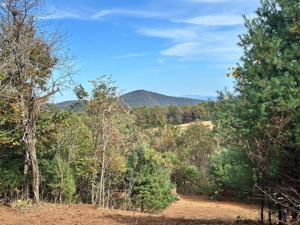 Photo of 00 TBD Belcher Mountain Road #None, Meadows of Dan, VA 24120 (MLS # 103732)